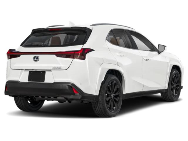 lexus ux hybrid 2025 JTHYBJAH8S2026455 image lexus ux hybrid 2025 JTHYBJAH8S2026455 image